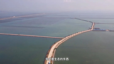 刺參工業(yè)化養(yǎng)殖技術(shù)研發(fā) 突破種業(yè)‘卡脖子’難題，推動(dòng)海水養(yǎng)殖創(chuàng)新發(fā)展