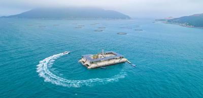 海洋牧場(chǎng) 以綠色養(yǎng)殖與技術(shù)研發(fā)驅(qū)動(dòng)海水養(yǎng)殖的未來