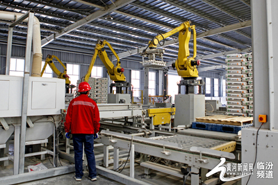 視覺臨汾 襄汾建材企業開足馬力，全力沖刺首季“開門紅”